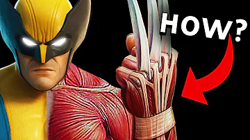 How Do Wolverine's Claws Work?