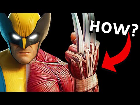 ვიდეო: Wolverine claws ძვალი იყო?