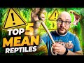 Top 5 MEANEST Reptiles and 5 WAY Better Options!