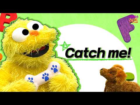 Catch me! | Basic English for Kids | Good Morning English | TV Kindergarten | KBS Broadcast