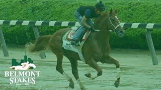 Belmont Stakes Draw 2022