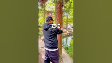 Thumbnail of 【簡単】スマホを使って2カットで出来る動画の撮り方（撮影者:Hiro）#shorts #iphone #iphone撮影 #講座 #rkphoto