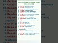 Commonly Used Phrasal Verbs with Meanings. Learn English Vocabulary and Lesson