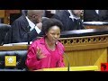 Chaos During EFF MP Chirwa Maiden Speech In Parliament