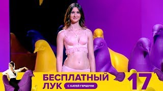 Бесплатный лук | Выпуск 17