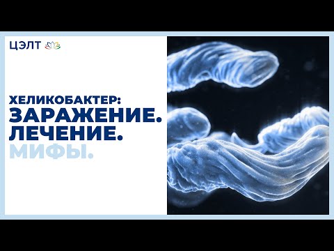 Video: Infekcia H. Pylori A Extra-gastroduodenálne Choroby