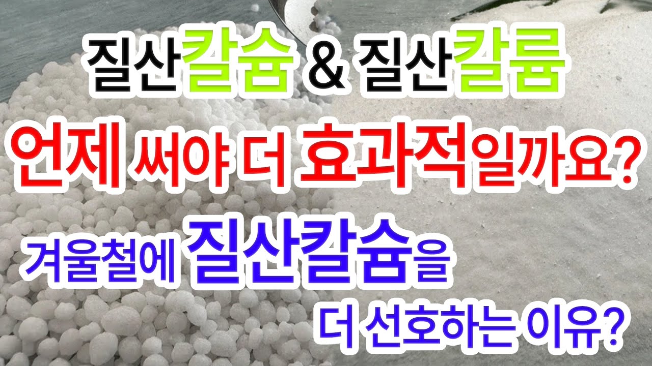 질산칼슘과 질산칼륨 어떻게 사용해야 더 효과적일까요? - YouTube