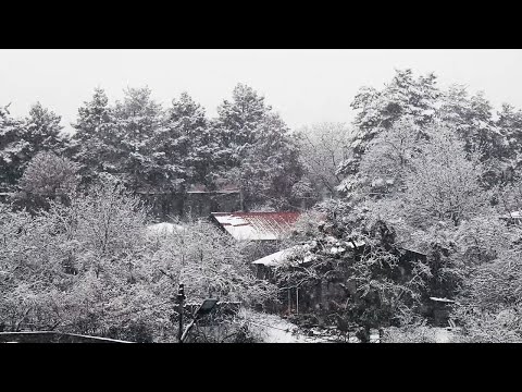 ზამთარი თიანეთში - Winter in Tianeti