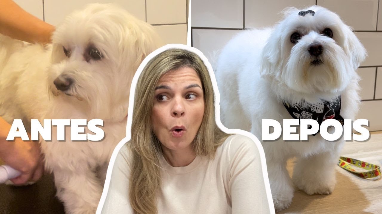 COMO EU DOU BANHO EM CACHORRO DE PELOS BRANCOS
