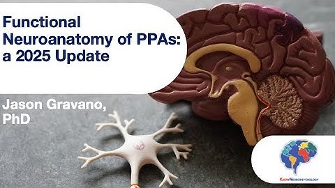 Functional Neuroanatomy of PPAs: a 2025 Update
