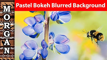 Pastel Bokeh Blurry Background with Soft pastels