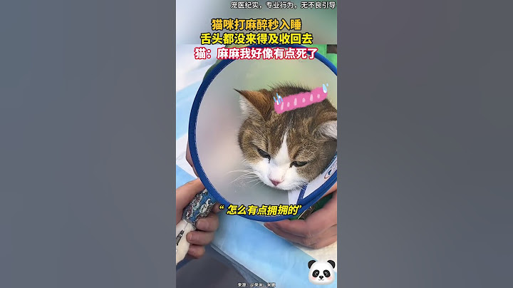 貓咪就醫打麻醉時秒入睡，舌頭都沒來得及收回來，貓：麻麻我好像有點死了~😂（寵醫紀實，專業行為，無不良引導）#shorts #china #DynamicChina