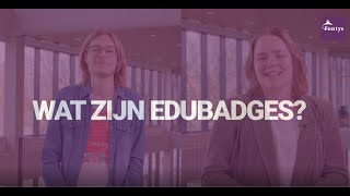Edubadges - Fontys Ict