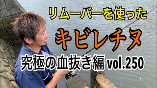 リムーバーを使った『キビレチヌ』究極の血抜き編 vol.250