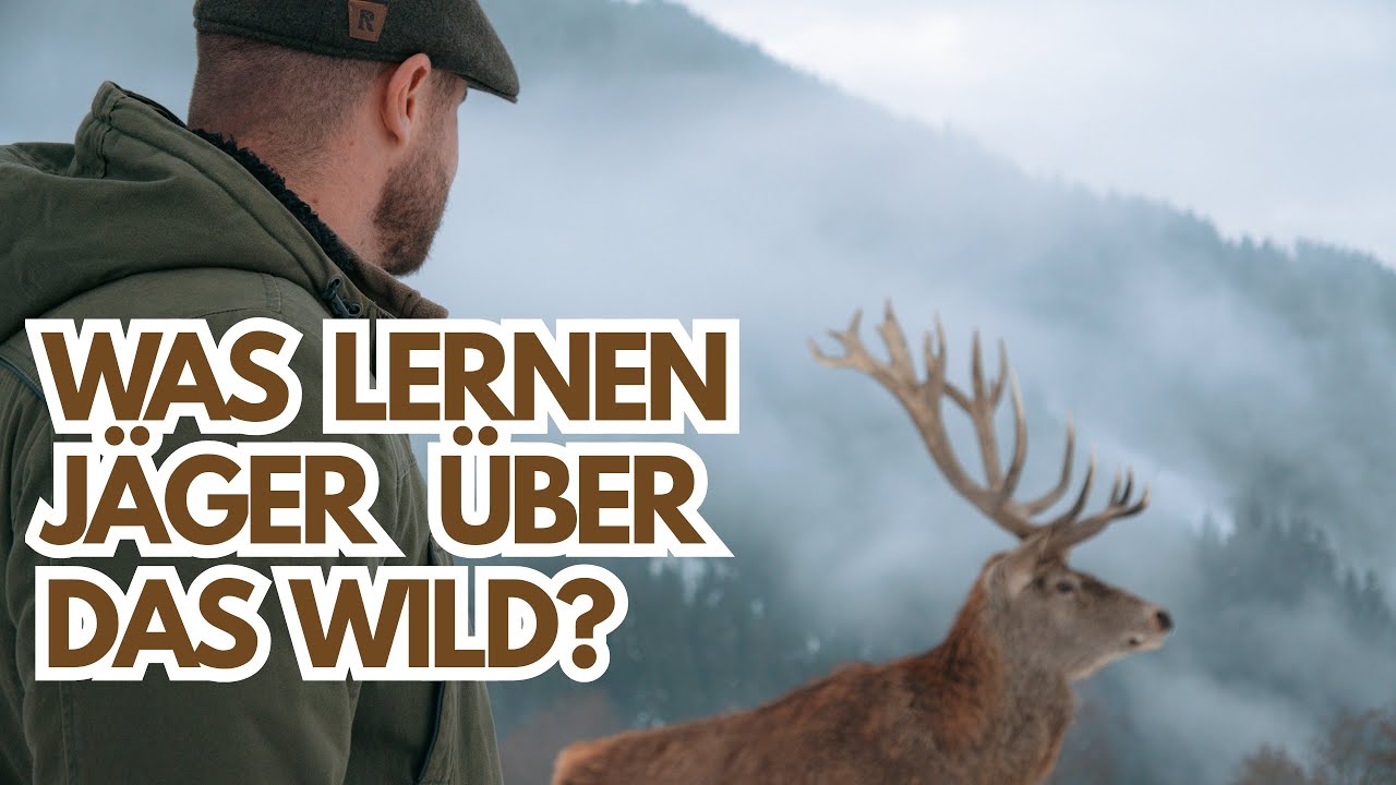 Wildbiologie in der Jagdausbildung | Grünes Abitur #1