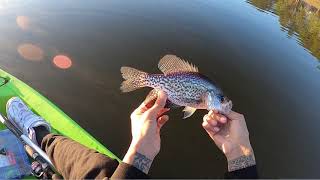 Winter Fishing For Crappies [Central Florida]