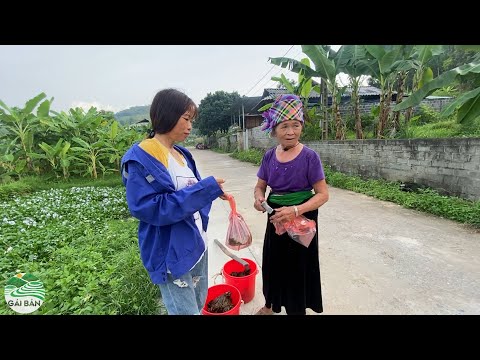 Video Chuyển máy móc sàng cát nhà Chị Ạ đi cầu Khe Ba - Bữa... - youtube