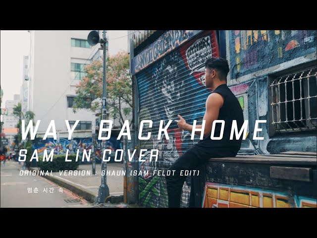 Way Back Home - SHAUN (Sam Feldt Edit) 【Sam Lin Cover】 class=