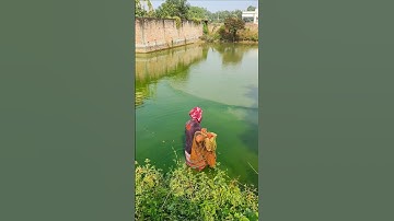 Village cast net fishing 😍 #shorts #youtubeshorts #shortsfeed