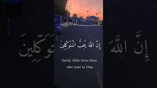 Quranic reflection