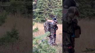 Opening Day Archery Elk 35 Yards