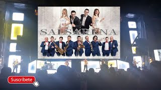 Video thumbnail of "Orquesta Salsarena 2018 // Pasodoble"