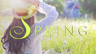 Blue.P - Spring (VLOG Music with No Copyright)