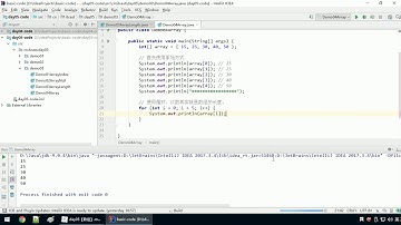Java语法 091 数组的遍历输出