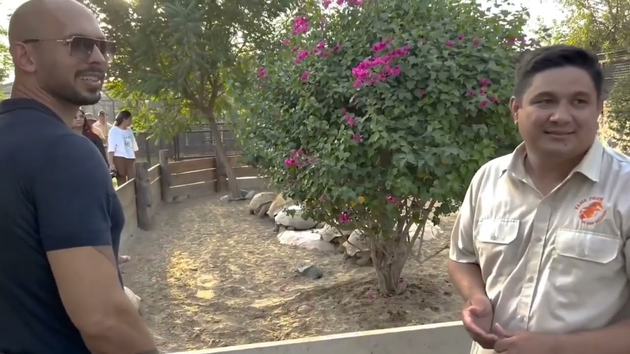 Andrew Tate LifeStyle .The Real world 