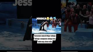 Shark attack ho gaya Jessica orcra #viralsong #video #viralvideo #viralshorts #short #shorts