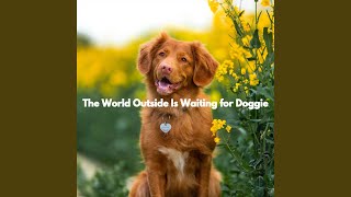 Sultry Ambiance for Comfortable Hounds