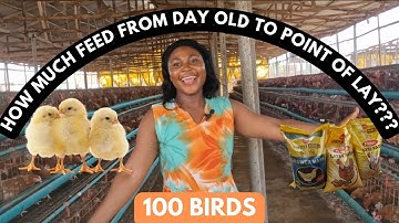 HOW TO CALCULATE FEED CONSUMPTION OF 100 LAYER CHICKENS FROM DAY 1 TILL POINT OF LAY AT 16 WEEKS