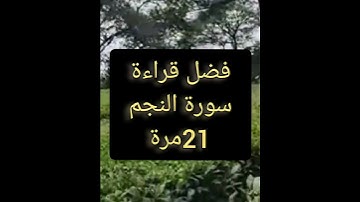 فضل قراءة سورة النجم 21مرة#قراءة #سورة #النجم #النجمة #النجم_الثاقب #نجوم #النجوم #نجمتي #نجمة