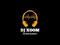 Hits Only Naija Latest May/June 2023 Afrobeats x Amapiano Mix by DJ Xoom