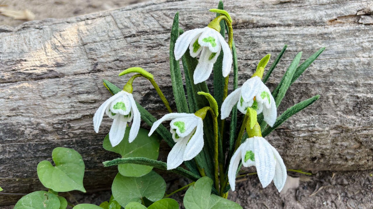 ABC TV | Как сделать цветок подснежника из проволоки для чистки трубок - пошаговый мастер-класс