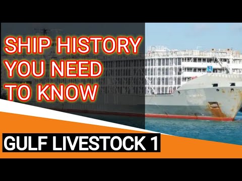 HISTORY OF GULF