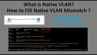 Famous What is Native VLAN  ?  How to Fix Native Vlan Mismatch  Issue ? Wealth