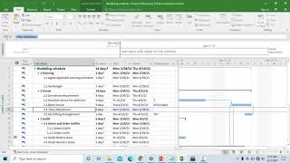 Constraints, Milestone and deadline