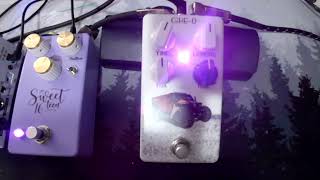 Eqd Disaster Transport Jr. Clone Pedalpcb Cataclysm Delay