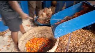 FINIC Palm Fruits Thresher