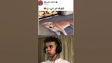 Shorts تحدي الضحك الكلب جاب اخرو 