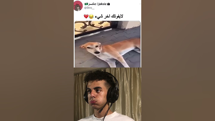 #shorts 😂😂 تحدي الضحك | الكلب جاب اخرو