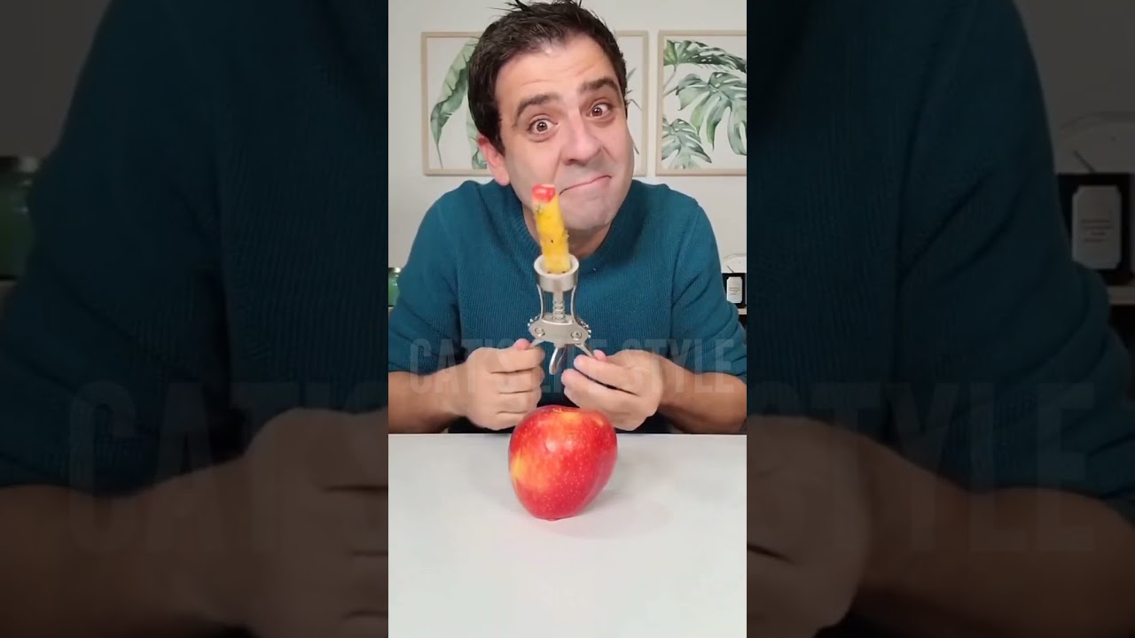 the cat chef practical tips for life 