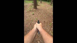 Springfield 1911 + Surefire 610 + Obsidian 45 suppressor