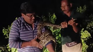 Famous Burmese Python released in Borajan Forest area #snake #snakesofindia #northeast #viralvideo Net Worth