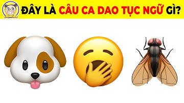 15+9 Câu Đố Đuổi Hình Bắt Chữ Các Câu Ca Dao Tục Ngữ Việt Nam Chỉ Dành Cho Người Thông Minh #caudo