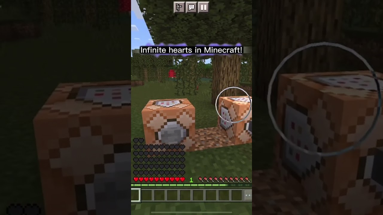How to have INFINITE hearts in MINECRAFT 