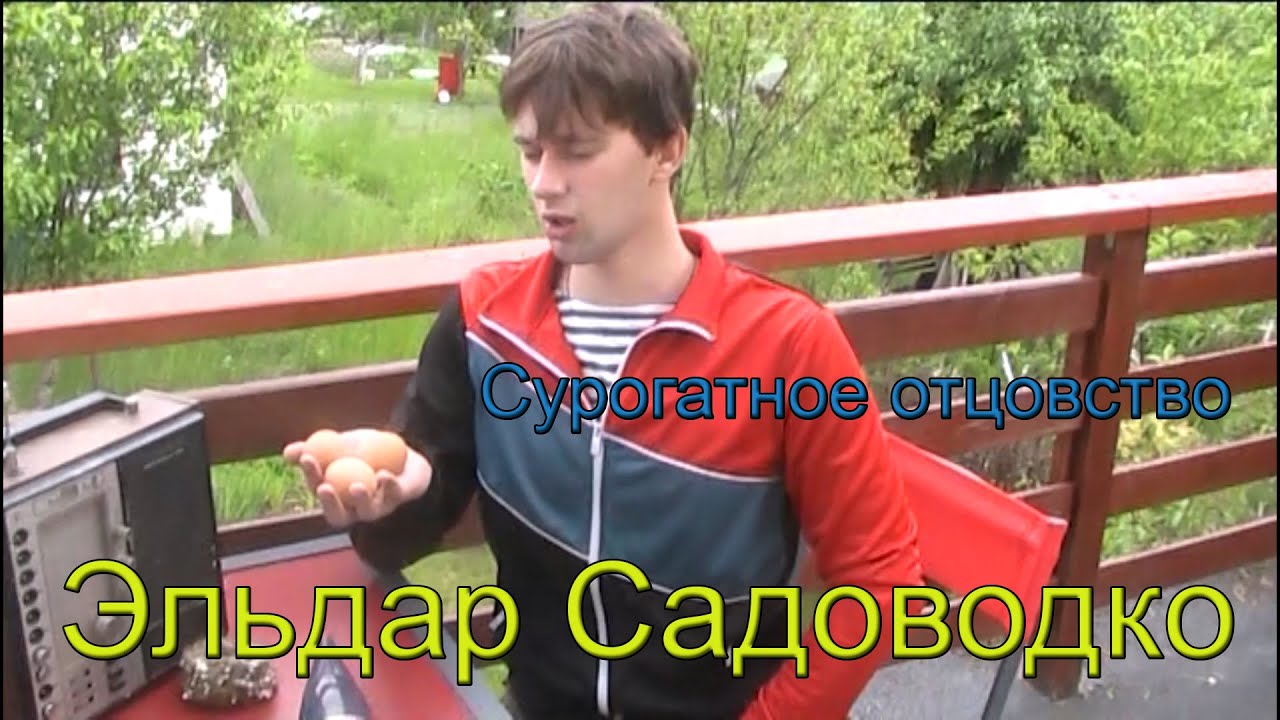 Эльдар Садоводко. Суррогатное отцовство в дачных условиях. - YouTube