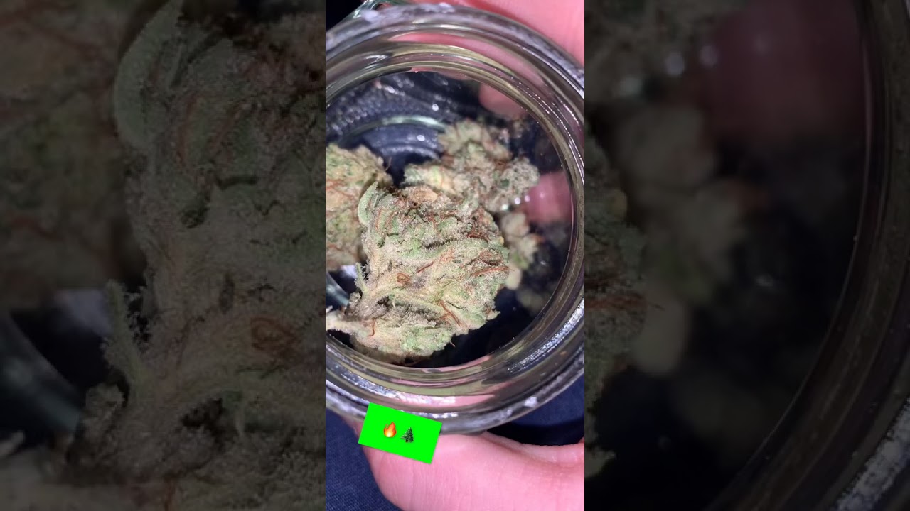 This what I’m smoking on rn