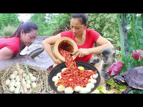 Adventure in jungle, Catch and cook chicken, Fish curry spicy delicious Catch and cook eel, +5 video